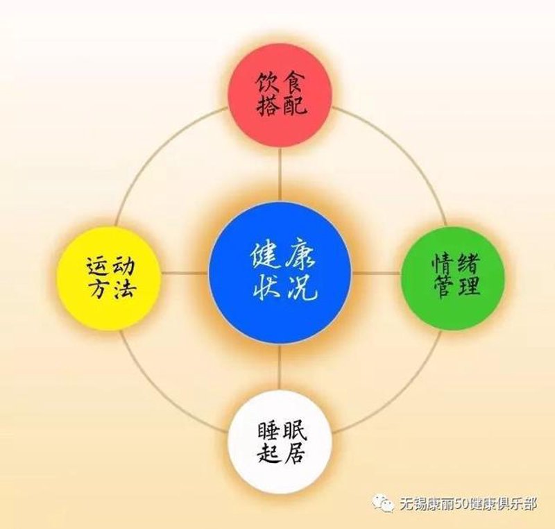 个人健康方案