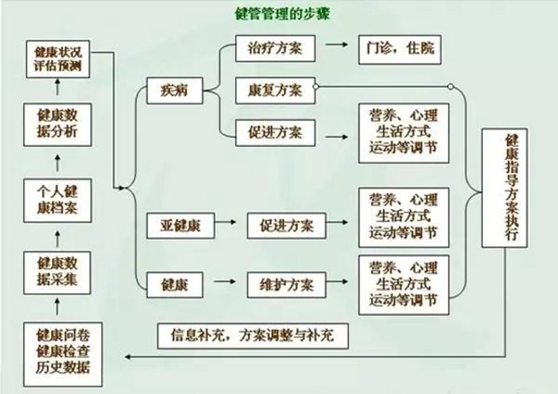 营养咨询：科学膳食的导航仪